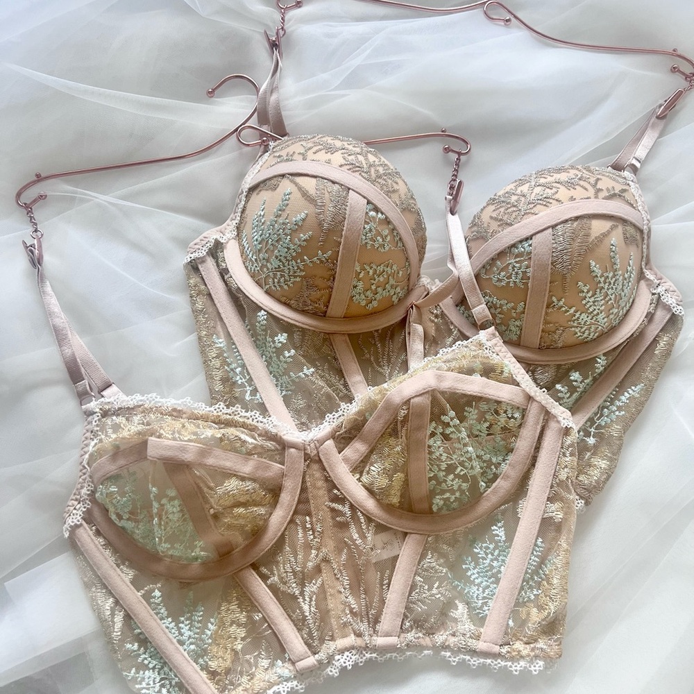 Sheer Embroidered Longline Bra in Blush & Mint